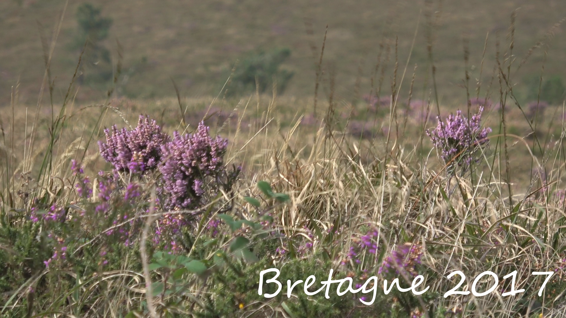 Bretagne 2017